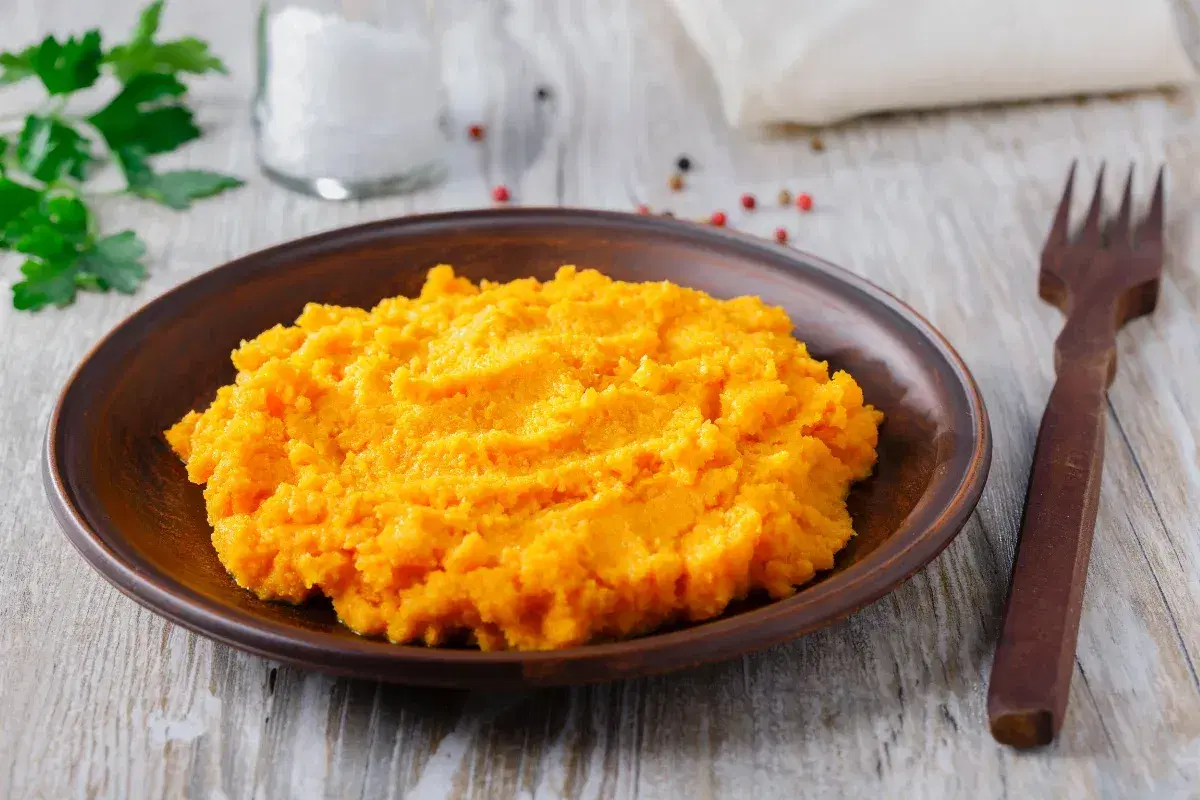 Carrot Pulp 