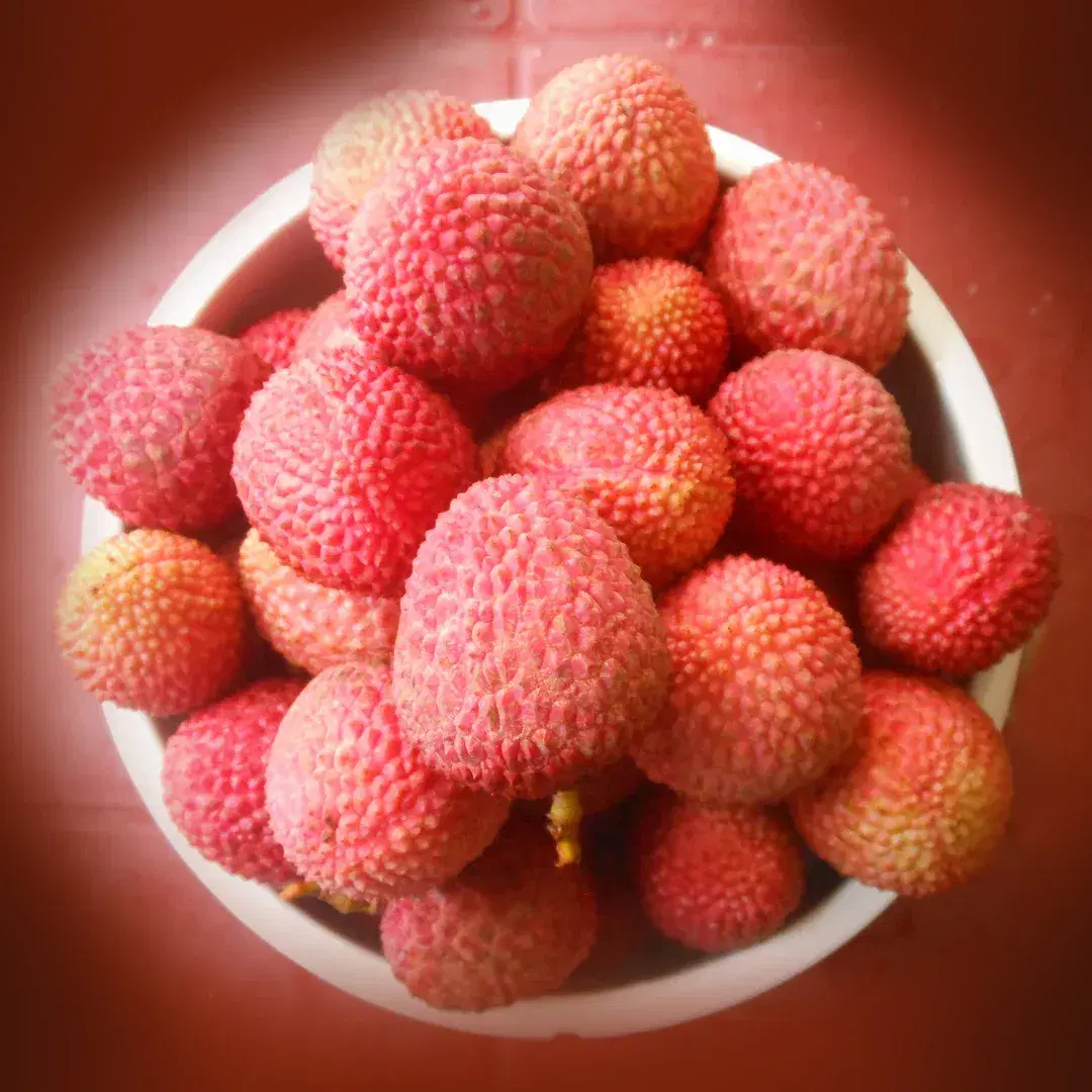 Frozen Litchi 