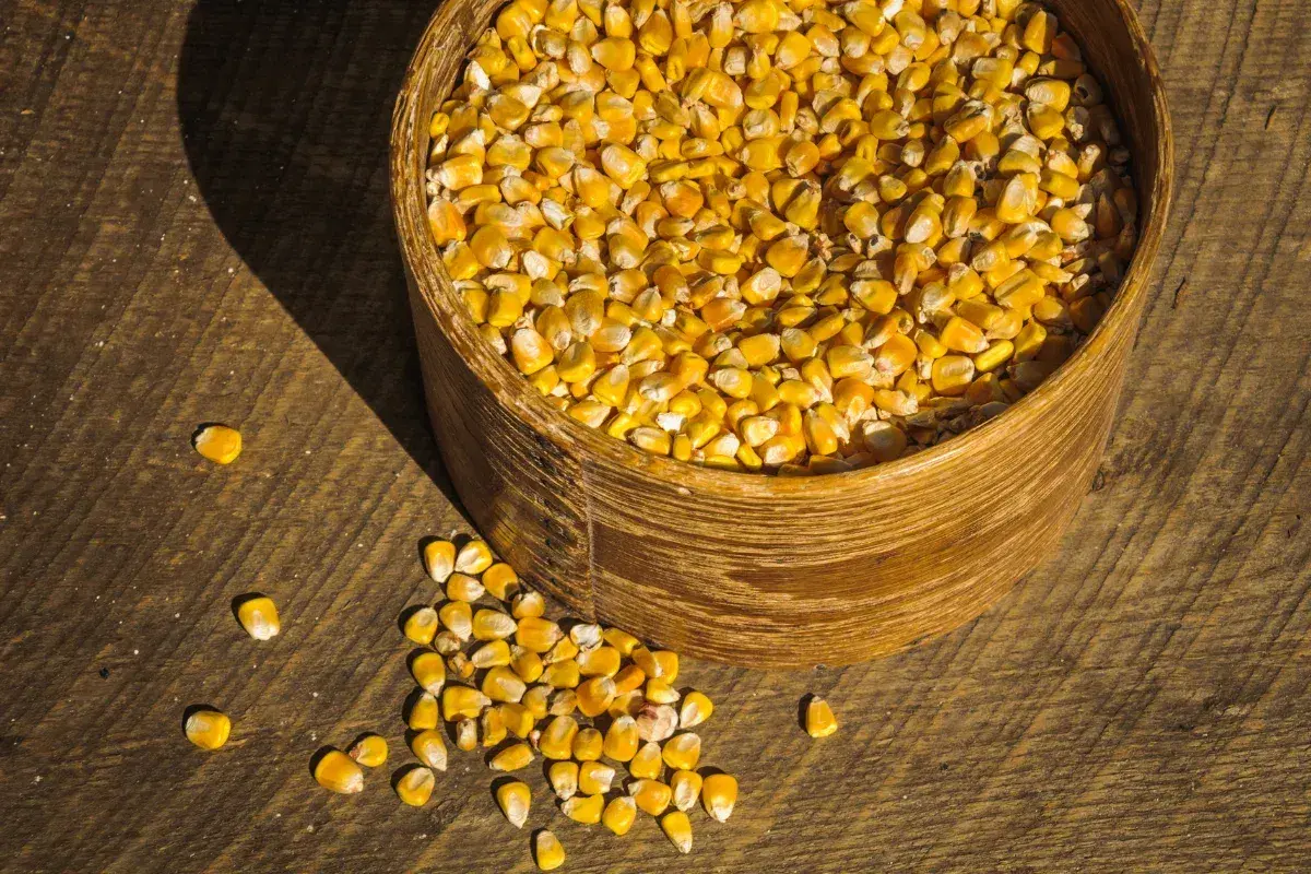 Frozen Sweet Corn Kernels 