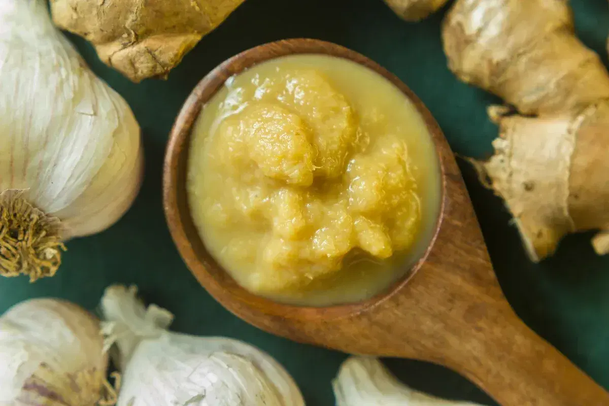 Ginger Paste And Puree 