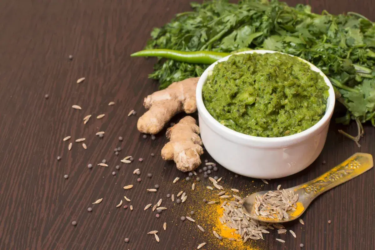 Green Chilly Paste And Puree 