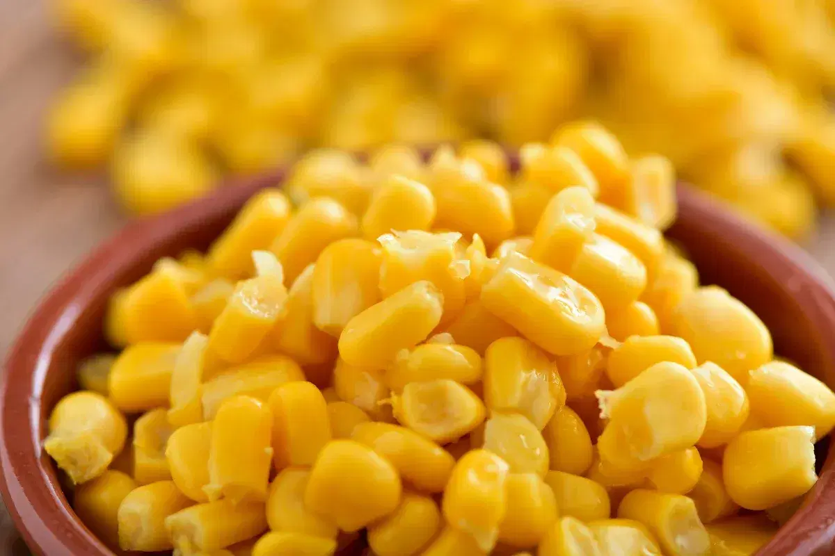 Sweet Corn Freez O Fresh 