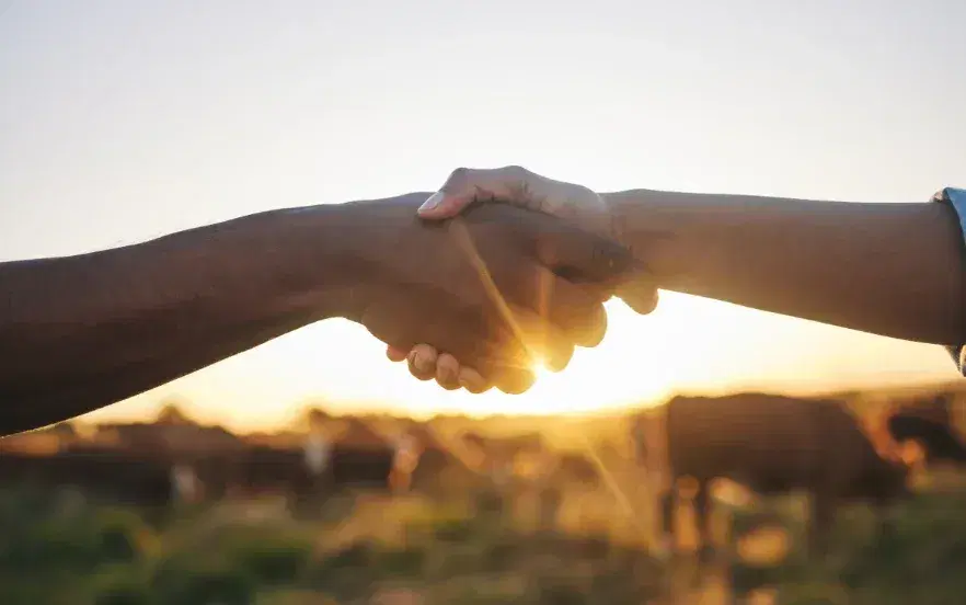 Our Commitment